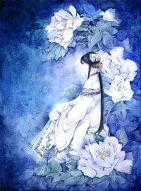 本不为魅